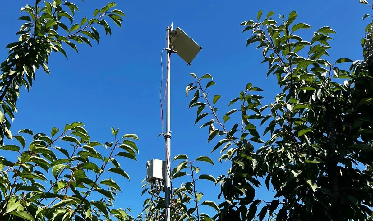 Estación climática con panel solar entre cerezos.