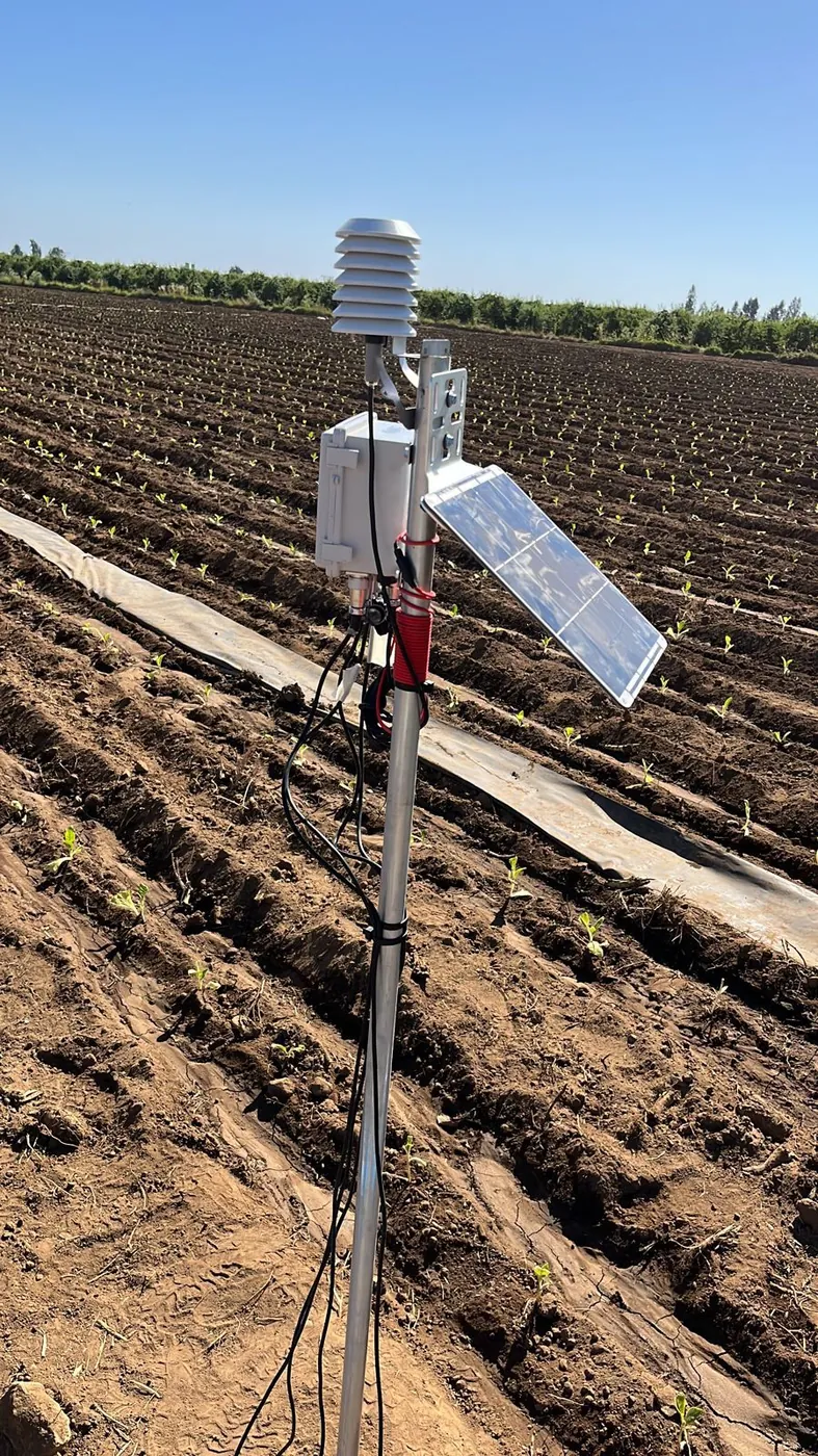 Estación climática en un campo de tabaco.